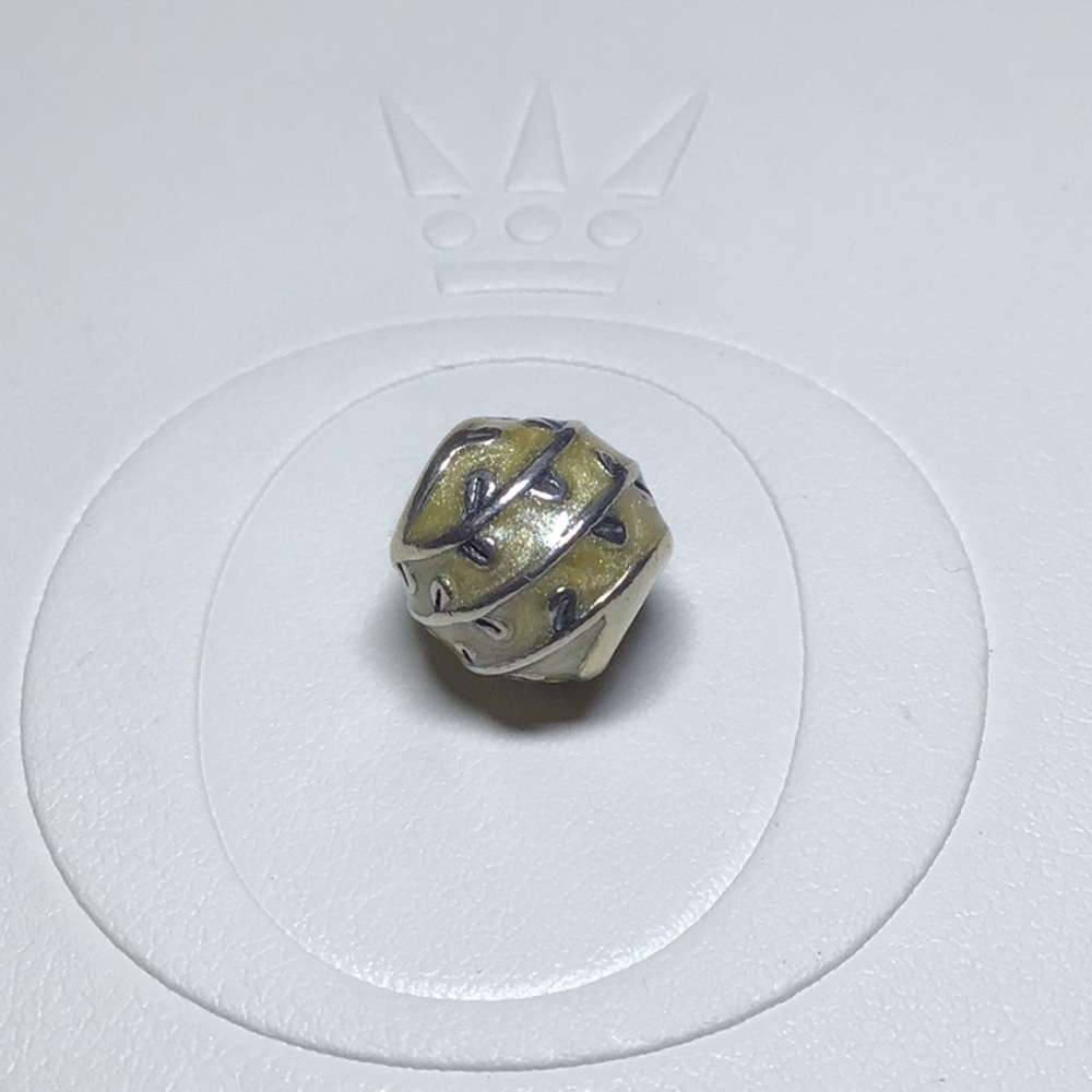 Pandora Charm